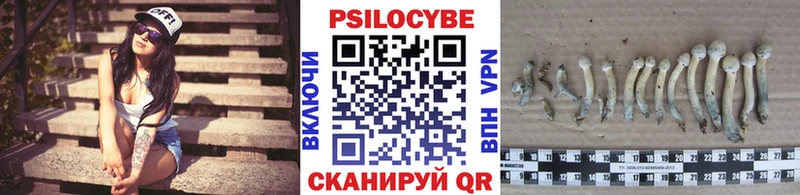 Псилоцибиновые грибы GOLDEN TEACHER нарко площадка какой сайт Опочка где продают наркотики