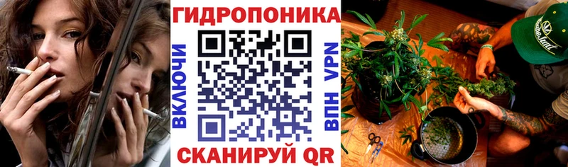 Бошки марихуана марихуана Опочка