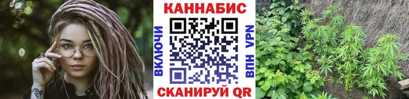 Конопля тримм Опочка